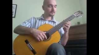 Mozart Piano Concerto 21 Guitar [upl. by Lemal]