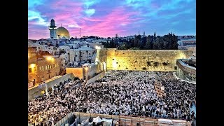 אם אשכחך ירושלים LIVE טל ועקנין  Em Eshkachech Yerushalayim LIVE Tal vaknin [upl. by Duffy]