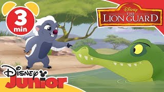 The Lion King 3D  Simbas Pouncing Lesson  Official Disney Movie Clip [upl. by Rosinski589]