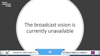 Blackheath CC Surrey Sunday 1st XI v Weybridge Vandals CC Sunday XI [upl. by Ress]