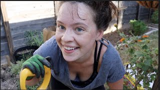 How to Amend Compacted Soil  Week 33 Vlog  Central Texas Zone 8b Garden [upl. by Rodl]