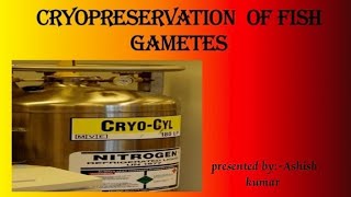 Cryopreservation of fish gametes Cryopreservation methods Cryopreservation [upl. by Mungam213]