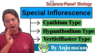 Special Inflorescence By Anju maam scienceplanetbiology [upl. by Farmann]