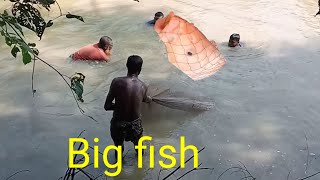 Big fishAmazing Fishing SkillBest Net Fishing VideoTraditional Fishing VideoCast Net Fishing [upl. by Piers]