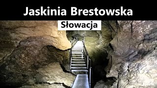 Jaskinia Brestowska [upl. by Verna]