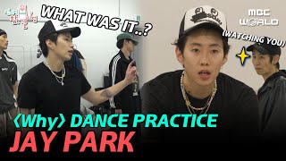 CC Exhausted JAY PARKs ⟪Why⟫ dance practice JAYPARK [upl. by Strain]