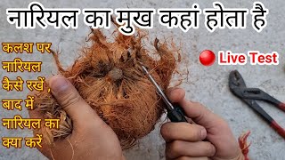 🔴 LIVE TEST नारियल का मुख कहां होता है  कलश का नारियल कैसा लें कलश पर नारियल कैसे रखें [upl. by Ettener]