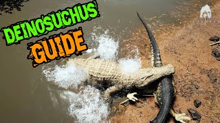 Deinosuchus Guide Hunting and Survival  The Isle Evrima [upl. by Helbonnas408]