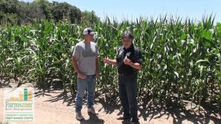 2014 Corn Belt Crop Tour  Kansas Farmer Interview 1 [upl. by Gualterio]