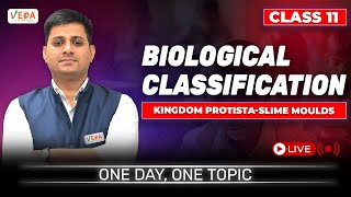 Kingdom ProtistaSlime Moulds  Biological Classification  class 11  Biology  One Day One Topic [upl. by Meta125]