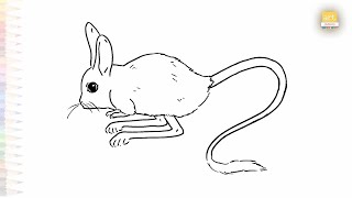 Jerboa easy drawing  Outline rodent sketches  How to draw A Jerboa step by step simply artjanag [upl. by Anelat]