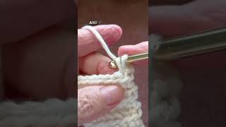 Single Crochet Variation Part 2 crochet crochettutorial crochetting crochettips [upl. by Iew320]