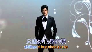 Fa Ru Xue Hair Like Snow Lyrics on the screen [upl. by Falconer]