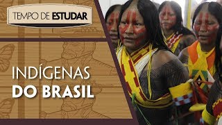 Indígenas do Brasil l Tempo de Estudar  História  7º ano [upl. by Valonia]