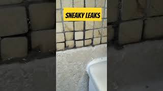 Leak in the wall above the vanity new plumbing yt shorts shortvideo 2024 youtube [upl. by Ahseim155]