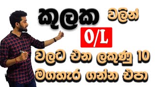 Sets in Sinhala  කුලක 3 ගණන්  kulaka  Grade 11 amp OL maths  Questions with theory  Siyomaths 🇱🇰 [upl. by Zeph495]