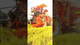 Mahindra novo 755 di 4wd Combine Harvester shorts viralvideo youtubeshorts harvester mahindara [upl. by Izabel]