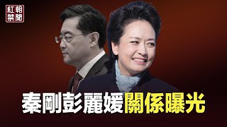 秦剛與彭麗媛關係曝光 白宮都在打聽 專家：他們都黏在大蜘蛛網上【紅朝禁聞】 [upl. by Yordan]