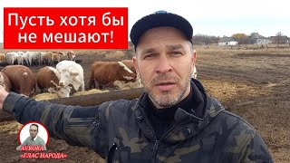 СЕЛЬСКИЕ ЖИТЕЛИ ПОЯСНИЛИ КУДА В СТРАНЕ ПРОПАЛО МАСЛО ОПРОС 2024 [upl. by Corny]