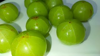 इम्यूनिटी बढ़ाने वाला आमला अचार Homemade Amla Pickle Recipe amlapickle amla zayakekizameen [upl. by Nnylassej]