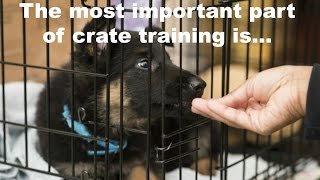 Crate Training A Puppy Schedule What Rules Apply When To Let Your Puppy Out Of The Crate [upl. by Jaynell]