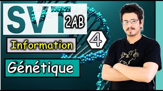 Composition chimique et structure de l’ADN  Part 4 [upl. by Bottali]