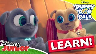 Learning The Countries of the World 🌍  Puppy Dog Pals  Disney Junior Arabia [upl. by Scales]