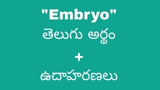 Embryo meaning in telugu with examples  Embryo తెలుగు లో అర్థం Meaning in Telugu [upl. by Adnuahs403]