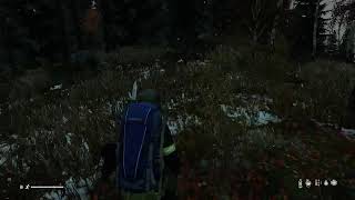 DayZ testing setting for Sakhal LIVE PS5 Adult Humour [upl. by Ajad]