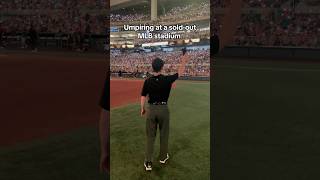 Umpiring in front of 38000 fans 🔥 mlb [upl. by Arrekahs875]