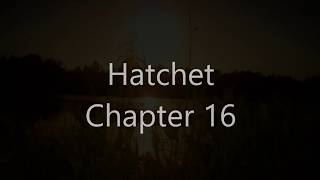 Hatchet Chapter 16 [upl. by Clower]