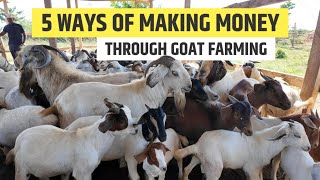 5 Highly Profitable Ways Of Making Money Through Goat Farming In 2024 [upl. by Nameerf]