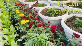 Winter garden update with full update  November month garden overview [upl. by Cheung]