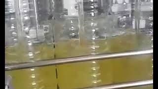 Automatic Piston Cooking Oil Filling Machine Oil Production Line [upl. by Yasdnyl345]