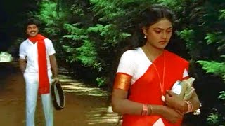 Sindhura Puvva Song  Nirosha Ramki Evergreen Superhit Video Song  Sindhoora Puvvu Telugu Movie [upl. by Torrell]