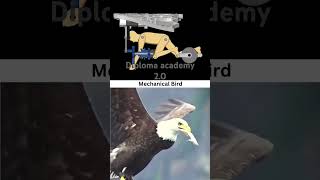 Mechanical Bird design Automobile engineering diploma [upl. by Downey]