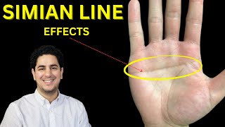 Simian Line in Palmistry [upl. by Mccartan]