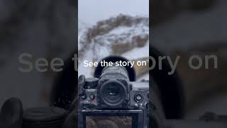 Filming snowleopard in the wild can be super challenging [upl. by Galligan]