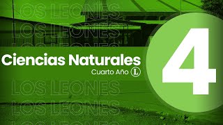 Ciencias Naturales 14  Adaptaciones de las plantas [upl. by Nola45]