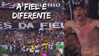 LINDA FESTA DA TORCIDA DO CORINTHIANS APÓS CLASSIFICAÇÃO CONTRA O GRÊMIO [upl. by Lever]