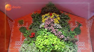 Plant Ganesha  Eco Friendly Ganesha  Ganesh Chaturthi 2024  Zee Telugu [upl. by Kristianson67]