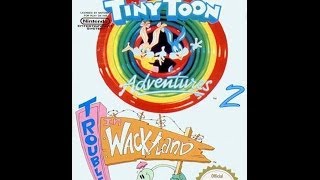 Tiny Toon Adventures  Season 1 Volume 1  New Puppy  Warner Bros Entertainment [upl. by Yvehc113]