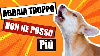 Come far smettere il cane che abbaia [upl. by Egoreg]