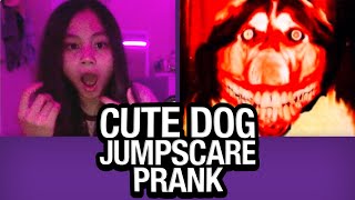 Cute Dog JUMPSCARE PRANK on Omegle [upl. by Akiemat607]