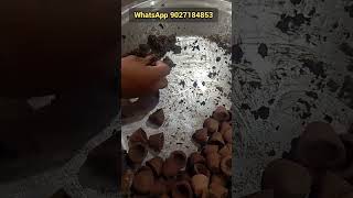 sambrani Cup filling process how to fill loban in sambrani Cup [upl. by Une]