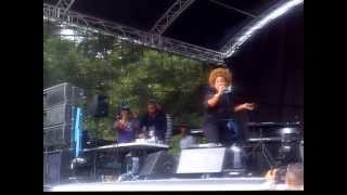 Denise Belfon  Wining Queen Project 5 Riddim Soca 2013 live ipswich carnival [upl. by Lrak750]