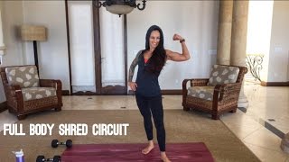 Full Body Shred Circuit [upl. by Tur]