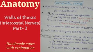 Walls of thorax  Intercostal Nerves  Part 2 Anatomy By Namita Ussara [upl. by Hayward]