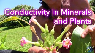 Conductivity In Minerals and Plants  Dr Robert Cassar [upl. by Eelrihs]