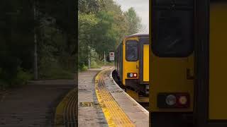 150219 working Liskeard to Looe departing Liskeard 15 Oct 2024 [upl. by Lennie161]